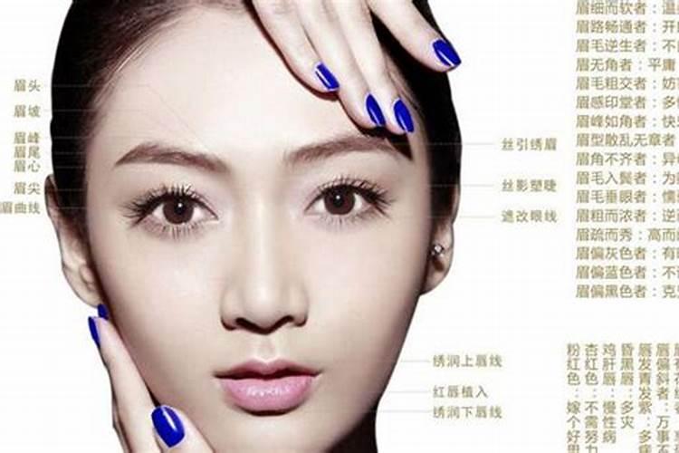 生肖猪1995年2025年运势如何 生肖猪1995年2025年全年运势