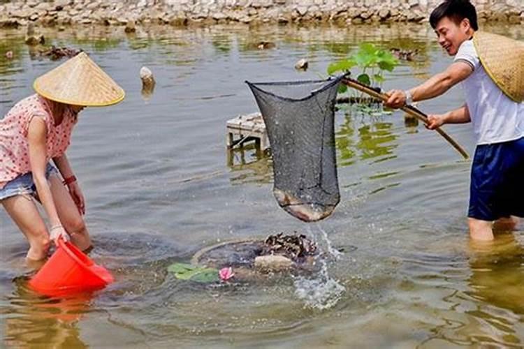 梦见鱼塘抓鱼是什么意思？