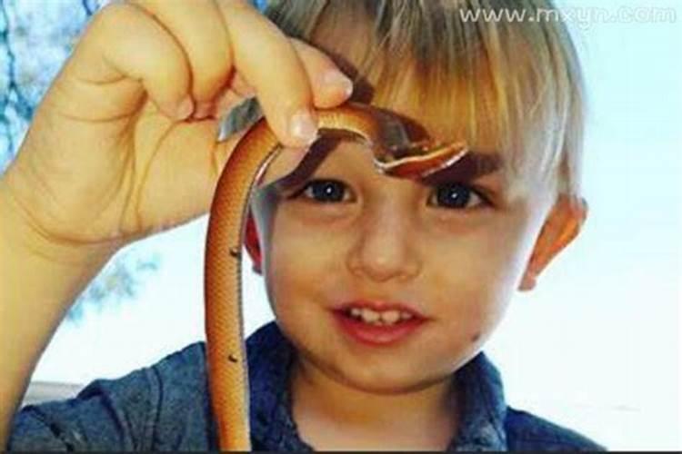 腊月十五出生的男孩好吗事事如意亨通荣华富裕？
