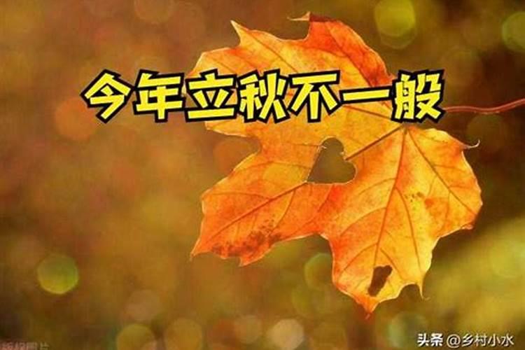 梦见骑着一匹马的预兆