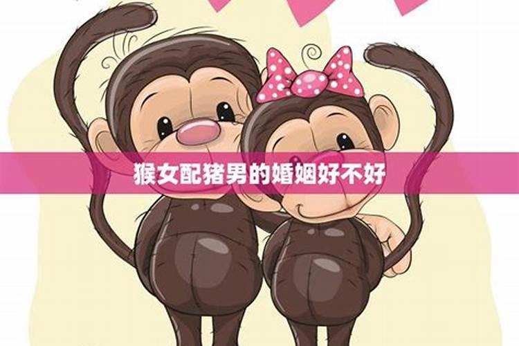 男猪女猴属相相配吗 男猪女猴配婚姻好不好