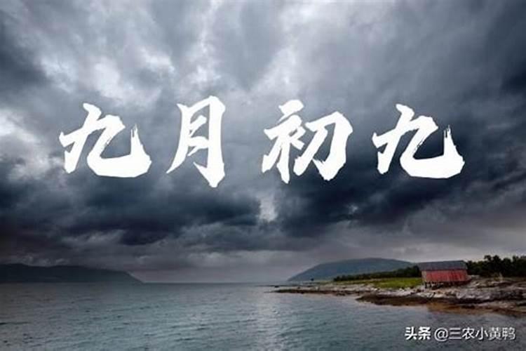 王维的《九月九日忆东山兄弟》解释