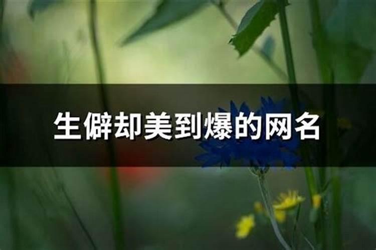 1984年属鼠每月运势,2021属鼠人全年运势女1984