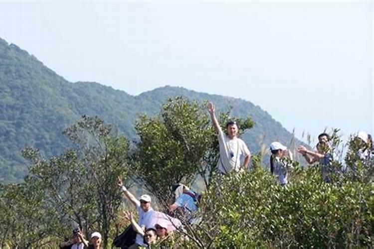2021南京重阳是爬山的好地方