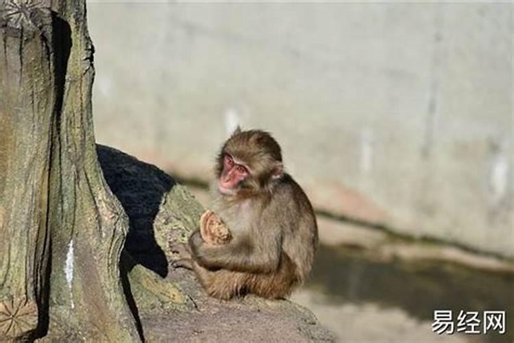 正月15长春哪里有烟花