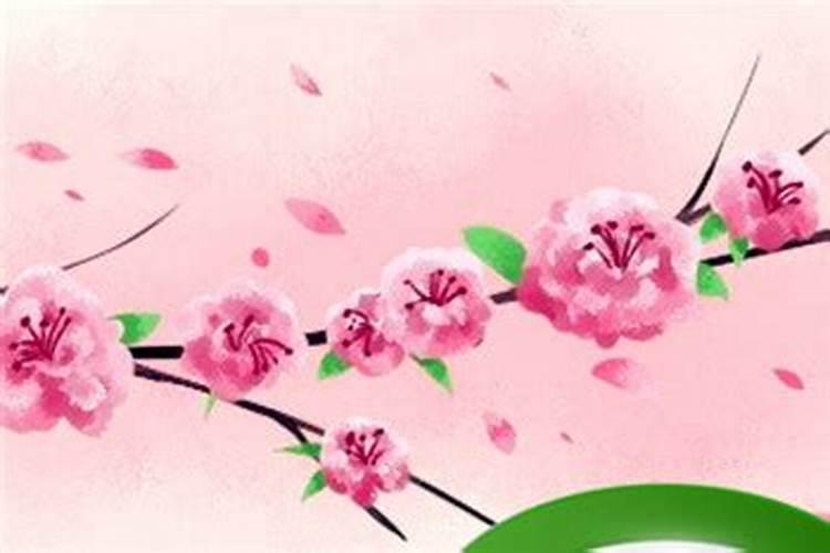 命犯桃花煞的女人是什么意思