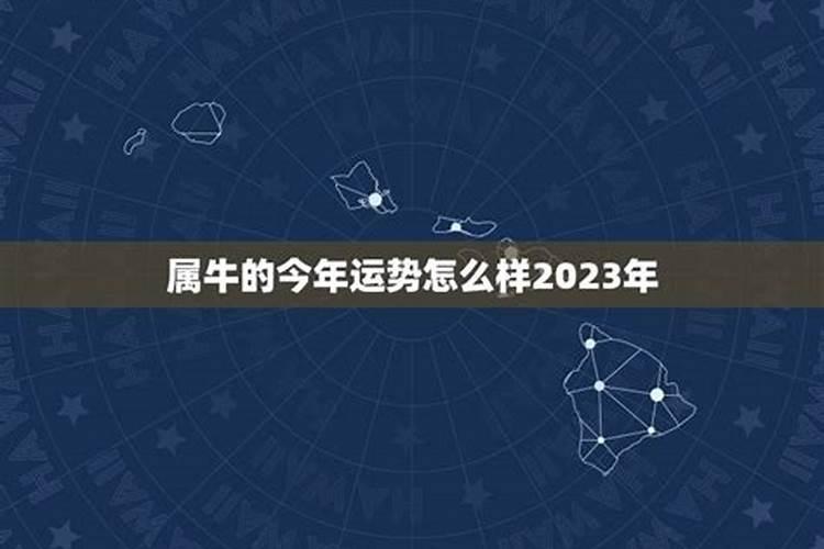 1991年农历四月羊女2025年每个月运势