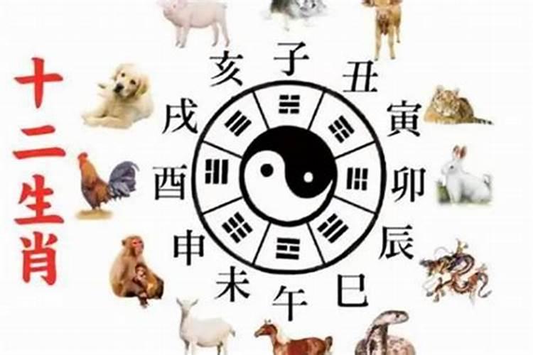 节气冬至是什么意思？