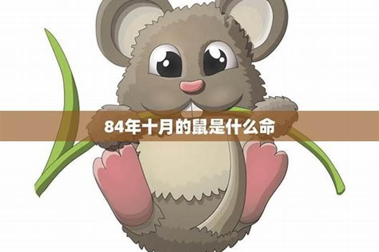 96农历十月初一年的老鼠带什么饰品吉祥