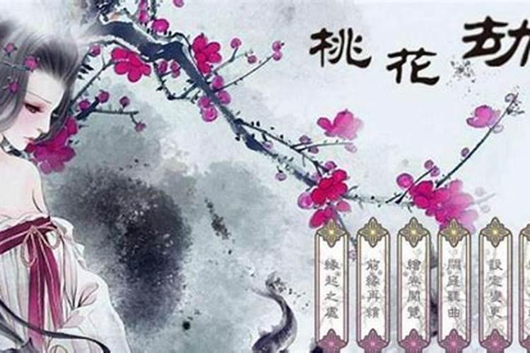 桃花劫是什么意思