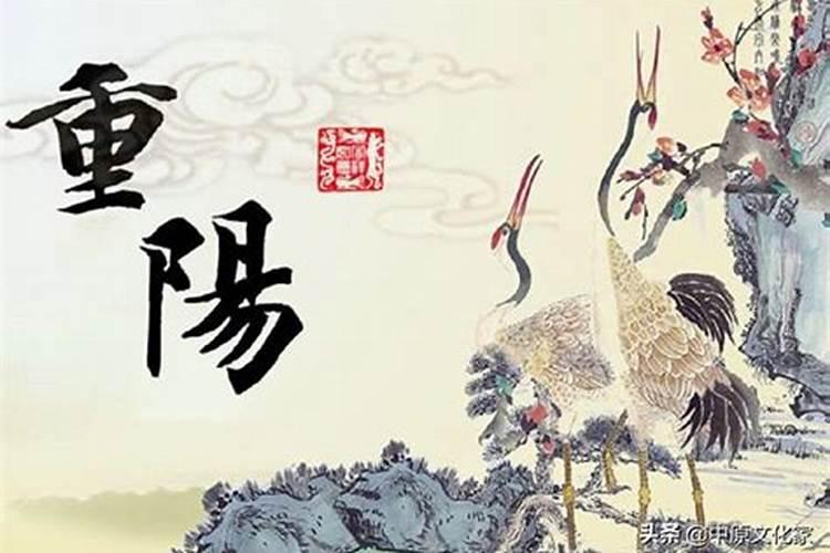 男怕入错行,女怕嫁错郎什么意思？