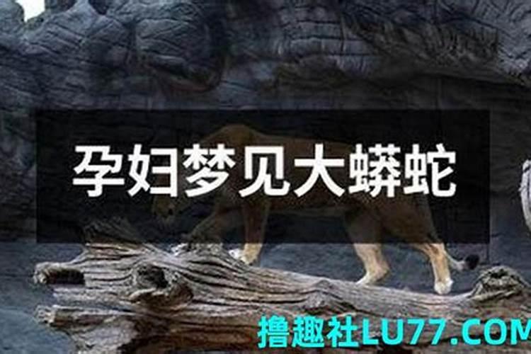 梦见被黑蟒蛇正面攻击的预兆