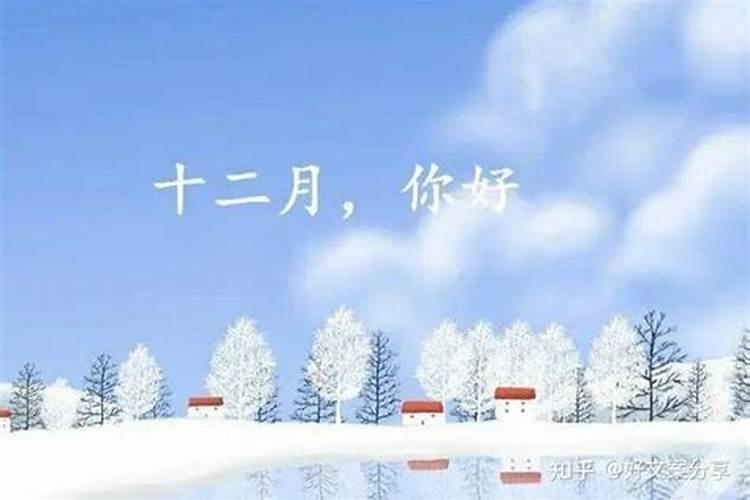1946年属狗最终寿命,46年属狗的寿命有多大