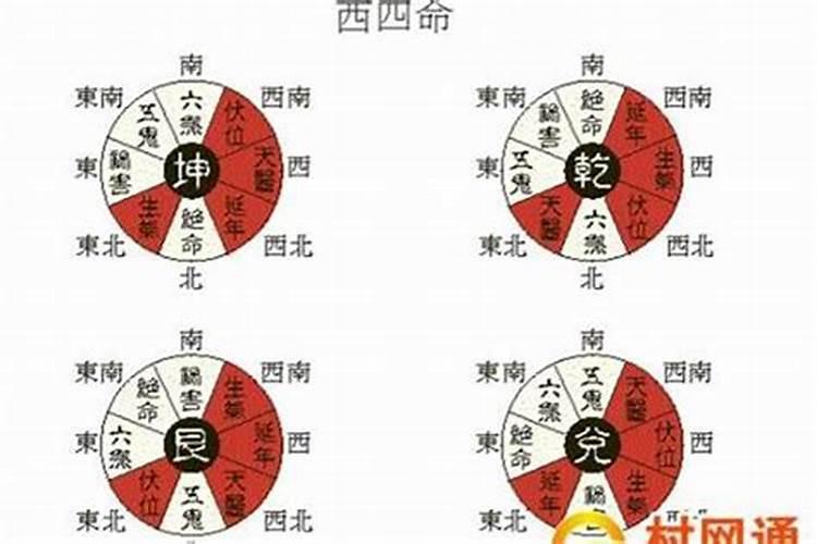 女性最佳的婚配属相,女羊最适合婚配属相表