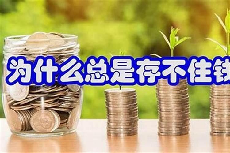 两个属牛的婚配好不好