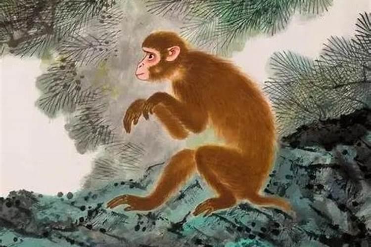 2025属猴犯太岁吗
