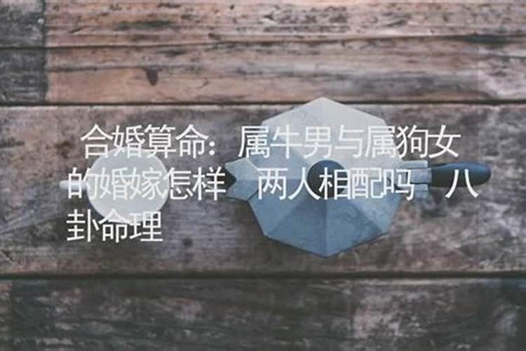 2024属猴的全年运势