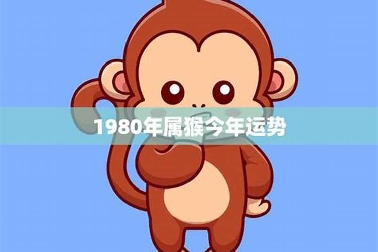 八字排盘软件哪个好用？