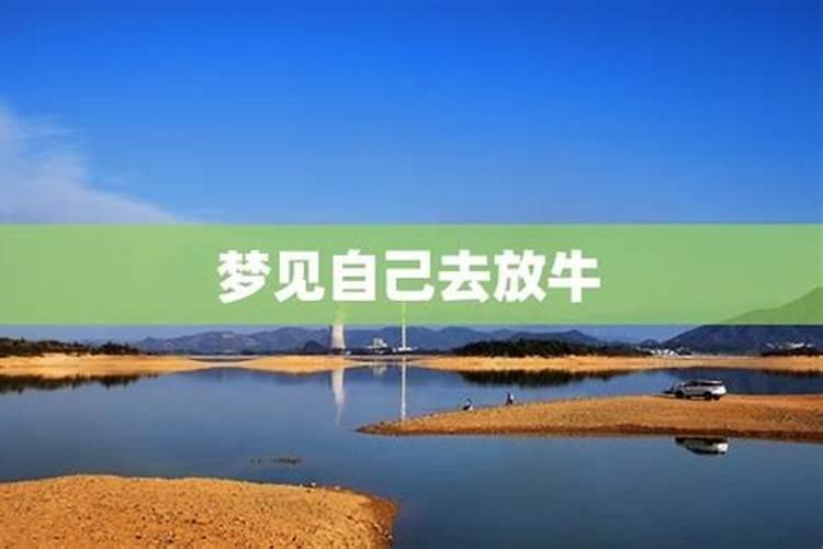 八字中的坐是什么意思？