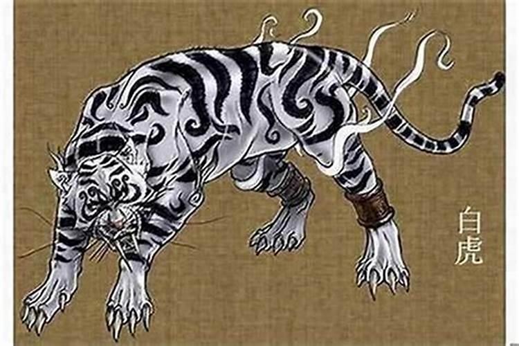 86岁老虎本命年穿什么？86岁虎生年禁忌探析