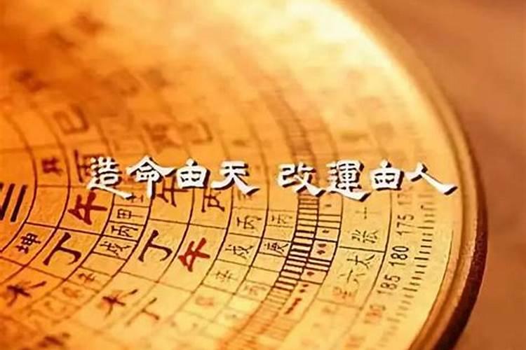 梦见三条小狗的预兆