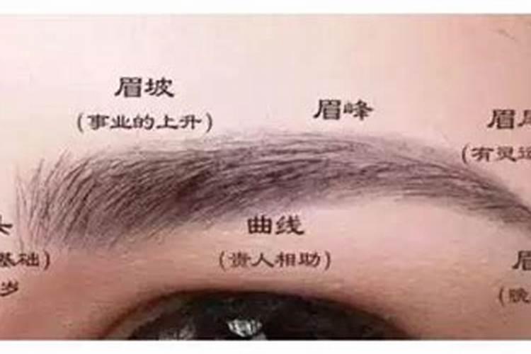 本命年的句子说说