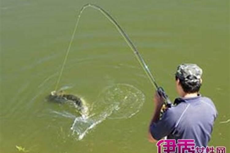 何谓生辰八字算命？