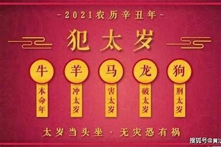 待到重阳日,还来就菊花(重阳节诗词精选80首)