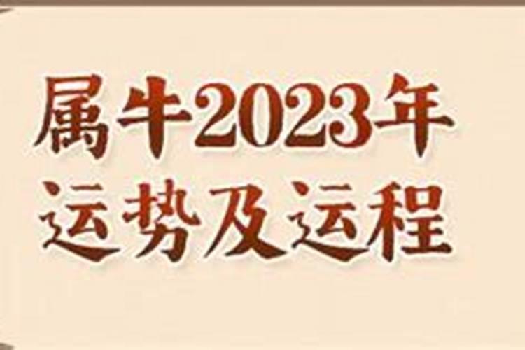 生肖牛2025年运势