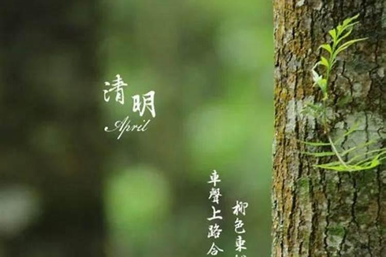 2024农历九月九日是什么时候 重阳节歌谣