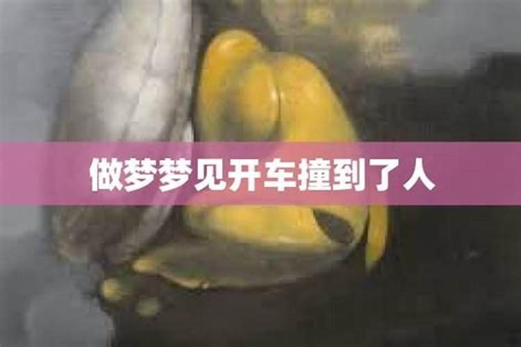 2025年属兔犯太岁吗