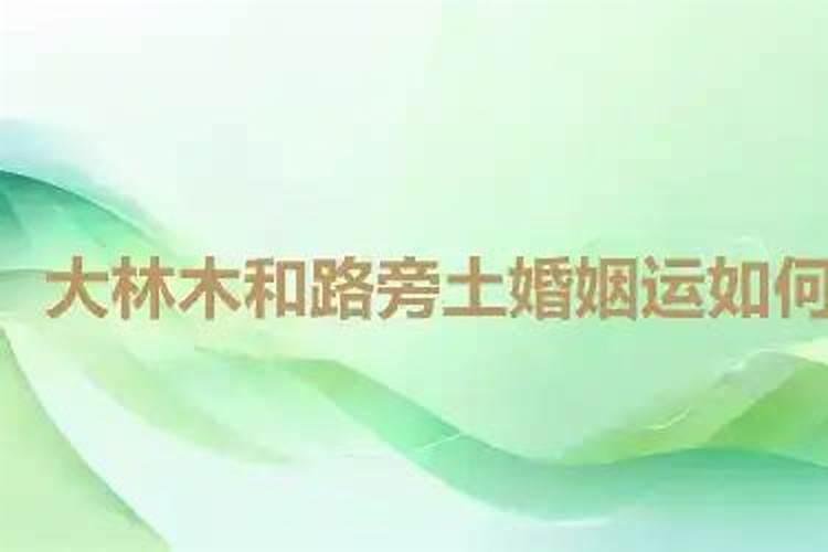 大林木和路旁土可以合婚吗？