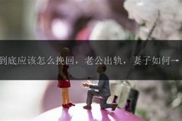 包头元宵节灯展在哪里