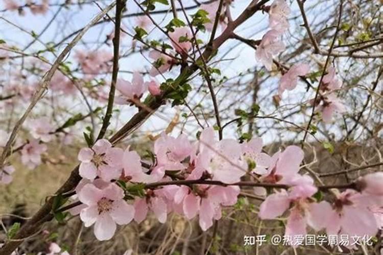 福清冬至吃什么