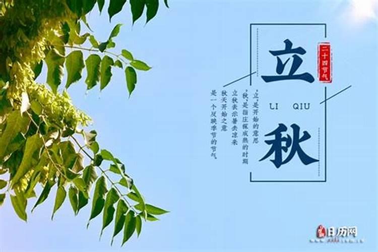 鼠2025财运大爆发的一年