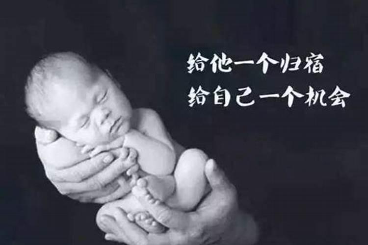 2025属猪人全年12个月运势如何