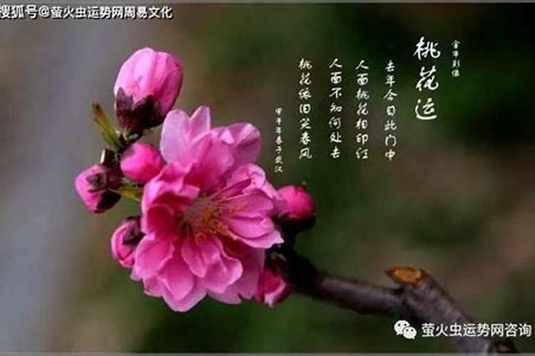 男女睡了以后运势会互相影响,是不是夫妻本身可以互相影响对方运势百度...