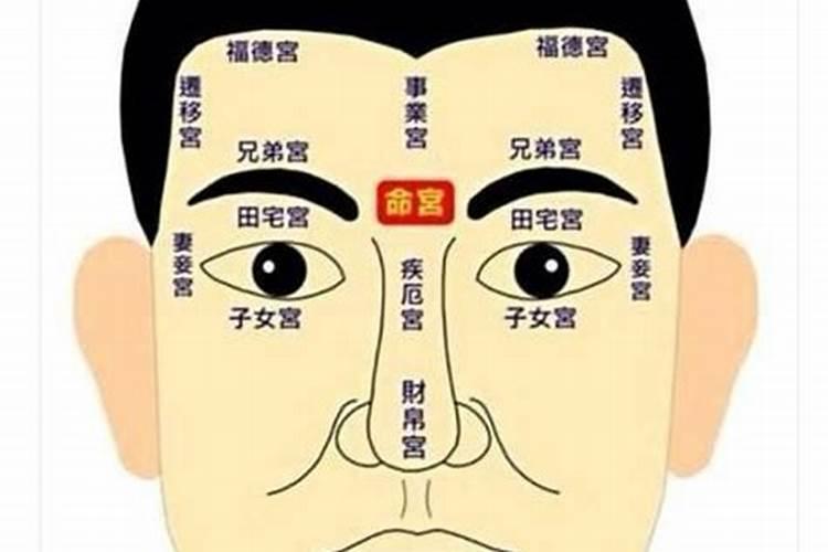 71年冬月初七出生属猪女的命运