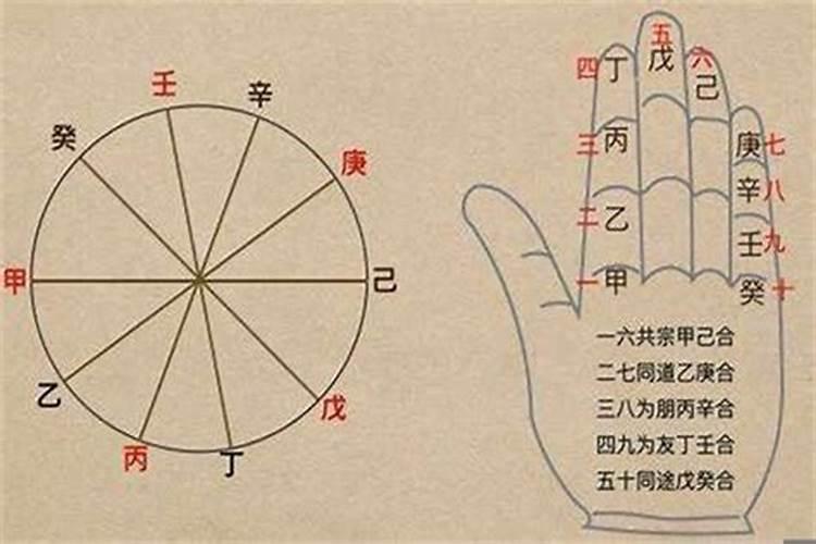 活动策划