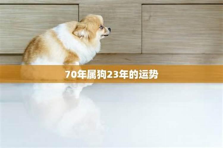 70属狗哪年走大运