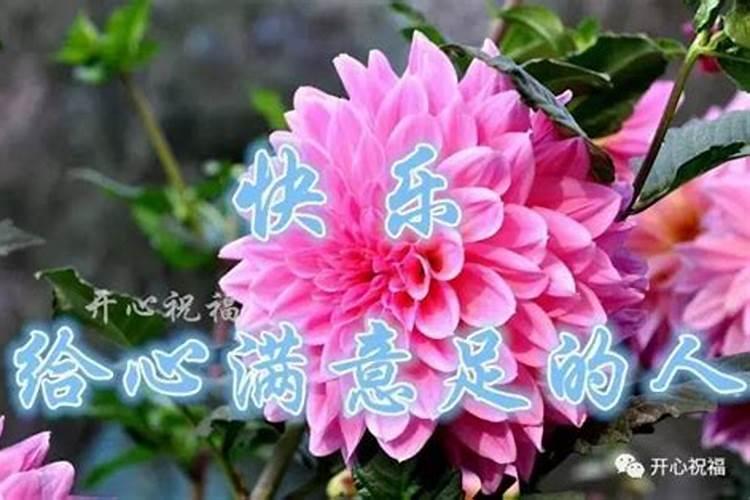 好运气是怎么来的感悟
