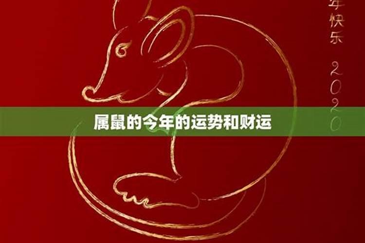 1972年鼠在2025年每月运势