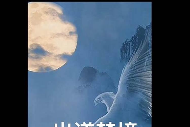2002年10月的马是什么命？