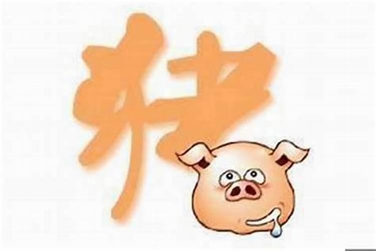 71年猪最旺的年龄