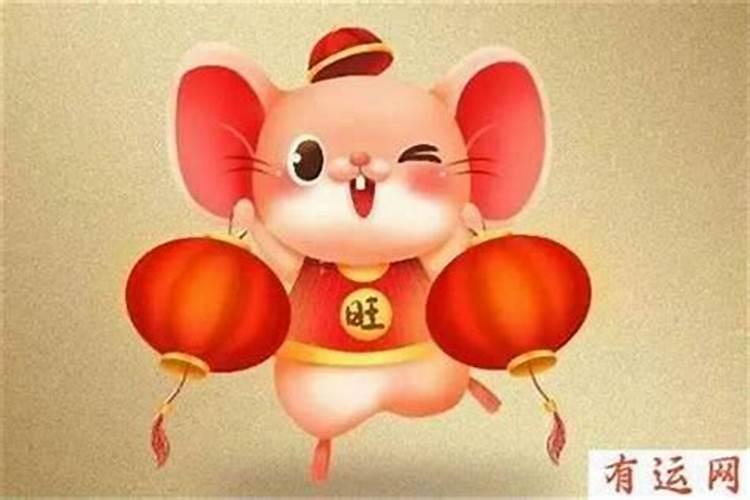 2025属鼠人每月运势及运程如何