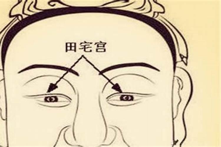 最富贵的三大生肖
