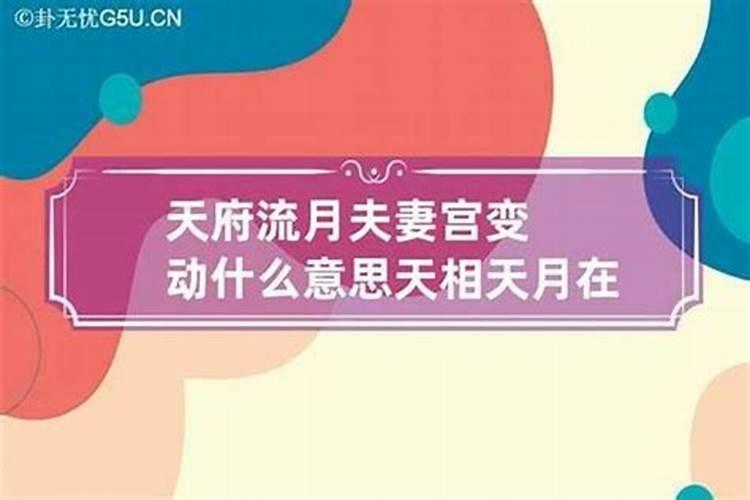 天府流月夫妻己丑变动什么意思
