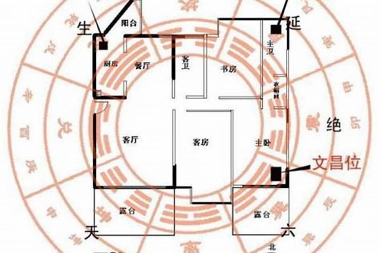 梦见爱人出国