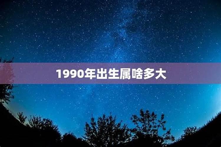属龙2025年运势及运程每月运程