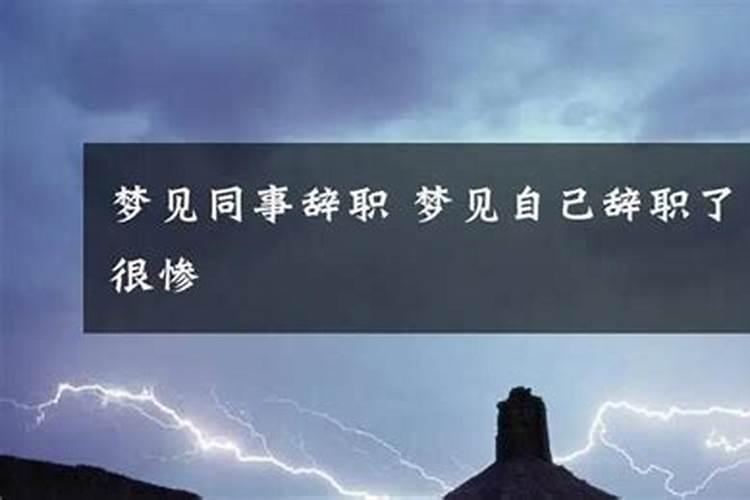 梦见自己辞职了又去上班